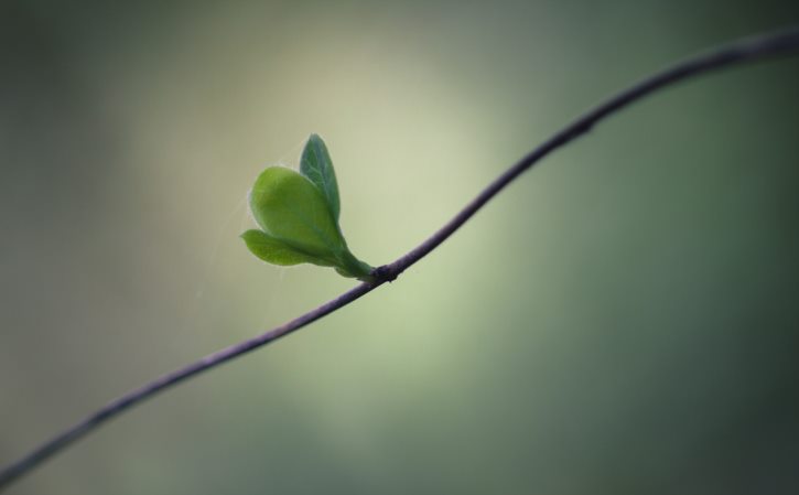 孩子没写完作业怎么和老师说