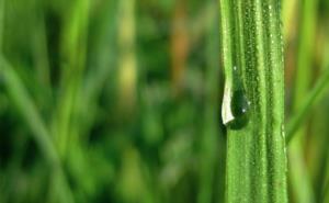 苹果手机一般多少钱 苹果所有手机价格表